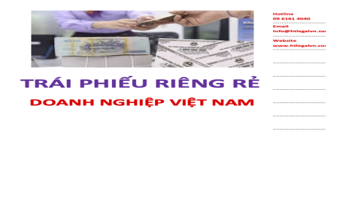 (HT) Phát hành trái phiếu riêng lẻ trong nước ?